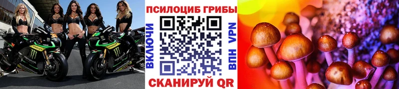 Псилоцибиновые грибы Cubensis Карпинск