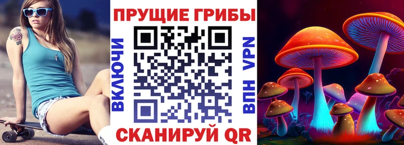 Псилоцибиновые грибы ЛСД  ссылка на мегу вход  Карпинск 